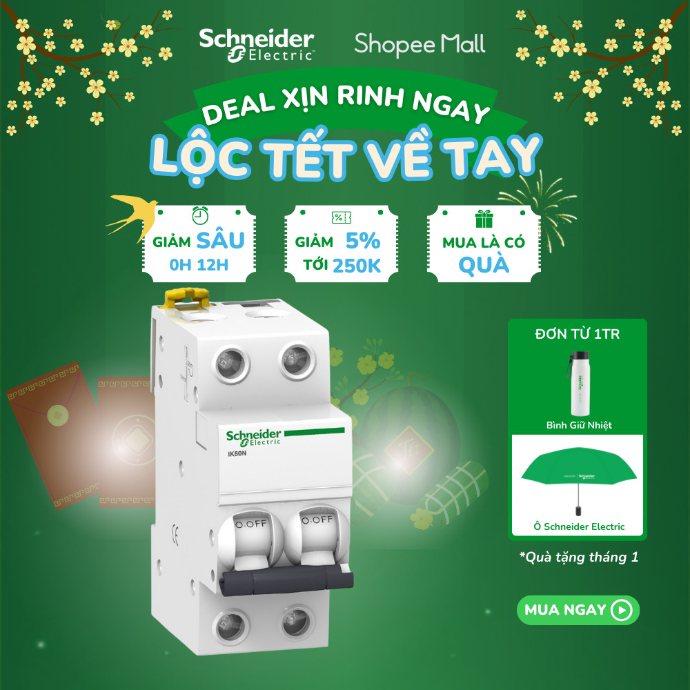 Aptomat MCB 2P 6kA Acti9 iK60N - Schneider Electric - A9K27206 A9K27210 A9K27216 A9K27220 A9K27225 A