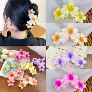 Kẹp Frangipani Phong Cách Hàn Quốc Kẹp Cá Mập Lớn Mũ Đa Năng Cho Nữ