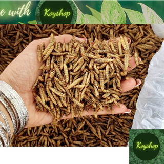 Sâu canxi sấy khô - thức ăn dinh dưỡng cho gà, chim, hamster , sóc, nhím - ấu trùng ruồi lính đen giàu dinh dưỡng.