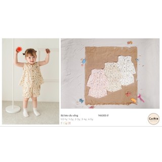 Bộ cộc tay cho bé gái viền bèo cầu vòng tươi sáng, đáng yêu size từ 1/2-1y đến 4-5y, 100% cotton