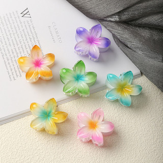 Kẹp tóc hoa Gradient thời trang dành cho nữ