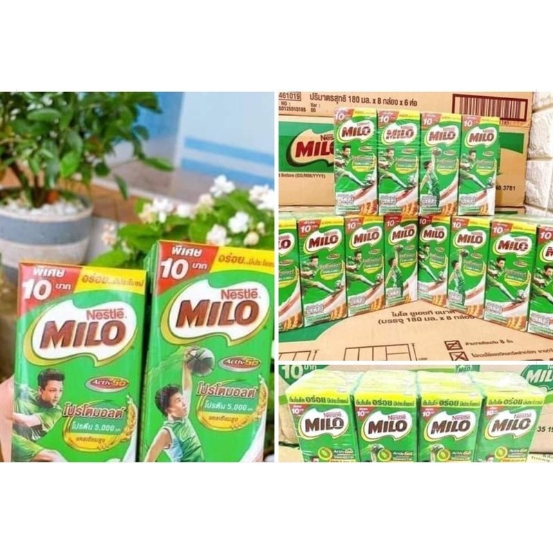 SỮA MILO THÁI 180ML (Lốc 8 hộp)