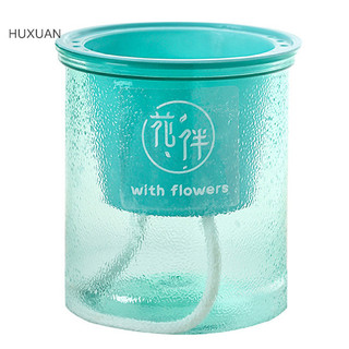 Huxuan 1 Cái Chậu Hoa Tự Làm Nước Tự Động Trong Suốt Nhựa Chậu Hoa RFT