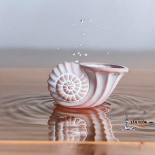 Chậu Gốm Đất Nung Hình Vỏ Ốc Xoắn - Gốm Sứ Sân Vườn - GSSV