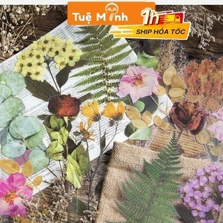 Bộ sticker hoa lá khô cỡ lớn STI13 VPPTUEMINH, nhãn dán hình cành lá hoa trang trí bullet journal