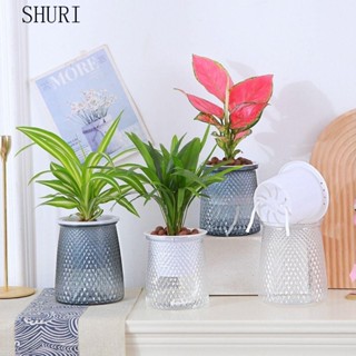 Chậu trồng cây tự tưới nước SHURI, Bình hoa trong suốt bằng nhựa, Trang trí cây cảnh gia đình Hai lớp Mini tự động Lười Chậu hoa trong chậu vườn