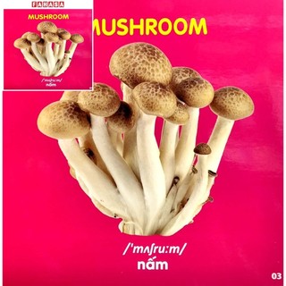 Sách Bách Khoa Toàn Thư Cho Bé - Rau, Củ, Quả