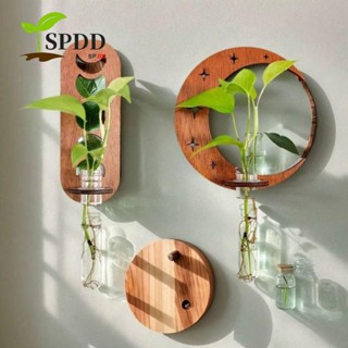  Bình thủy canh SPDD Bình treo tường bằng gỗ chứa thủy canh Ống thử nghiệm Mini thủ công Giá treo chậu trồng cây Trang trí nhà   văn phòng 