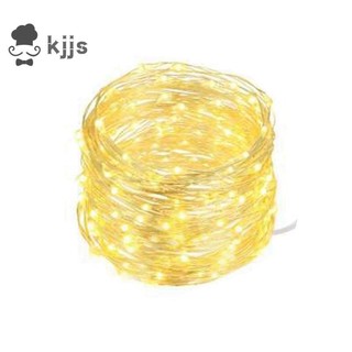 Đèn LED cổ tích chạy bằng pin Đèn nhấp nháy dây đồng để trang trí ký túc xá đám cưới ncsqkjjs.vn