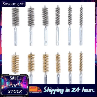 Soyoung (Stainless Steel Brass)12 Pieces Hole Brush Set Wire Bore With 1/4 In Hex