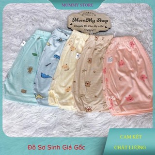 B25 Combo 5-10 Quần Đùi Thun Lạnh in Kín Mềm mát Cho Bé Trai, Bé Gái Size 4-15kg