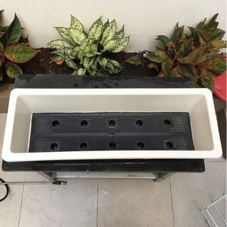  Combo 10 Chậu trồng rau chậu nhựa trồng hoa ,trồng cây cảnh thông minh dày đẹp Giày xinh 8668 