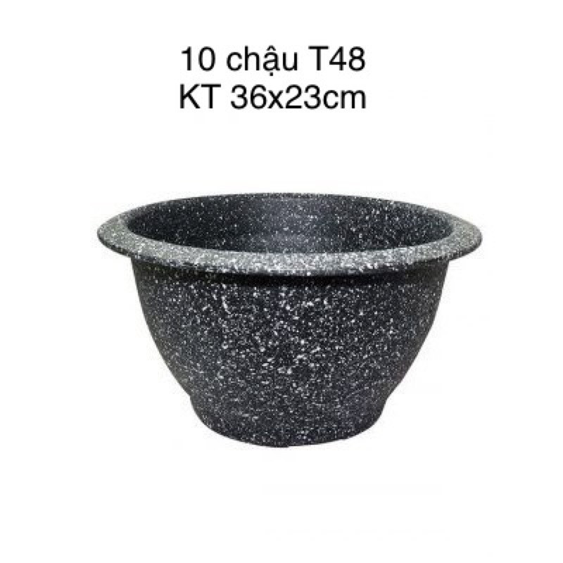 [Combo 10 chậu]Chậu nhựa trồng cây Phúc lộc thọ T48 , chậu trồng hoa cây cảnh  Lạc shop