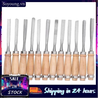 Soyoung 12Pcs Wood Turning Chisels Grooves Parting Tool Woodworking Carving 8in AP9