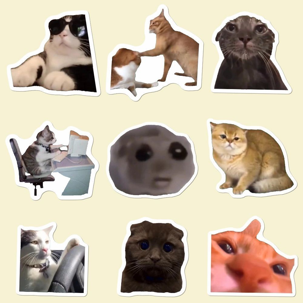 202 Miếng dán meme mèo ngộ nghĩnh mèo Meme dán vui nhộn