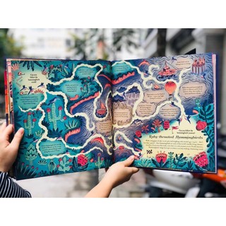 Sách : Animazes Illustrated By Melissa Castrilion