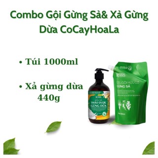 Combo Gội 1000ml Gừng sả và xả gừng dừa 440g cocayhoala.