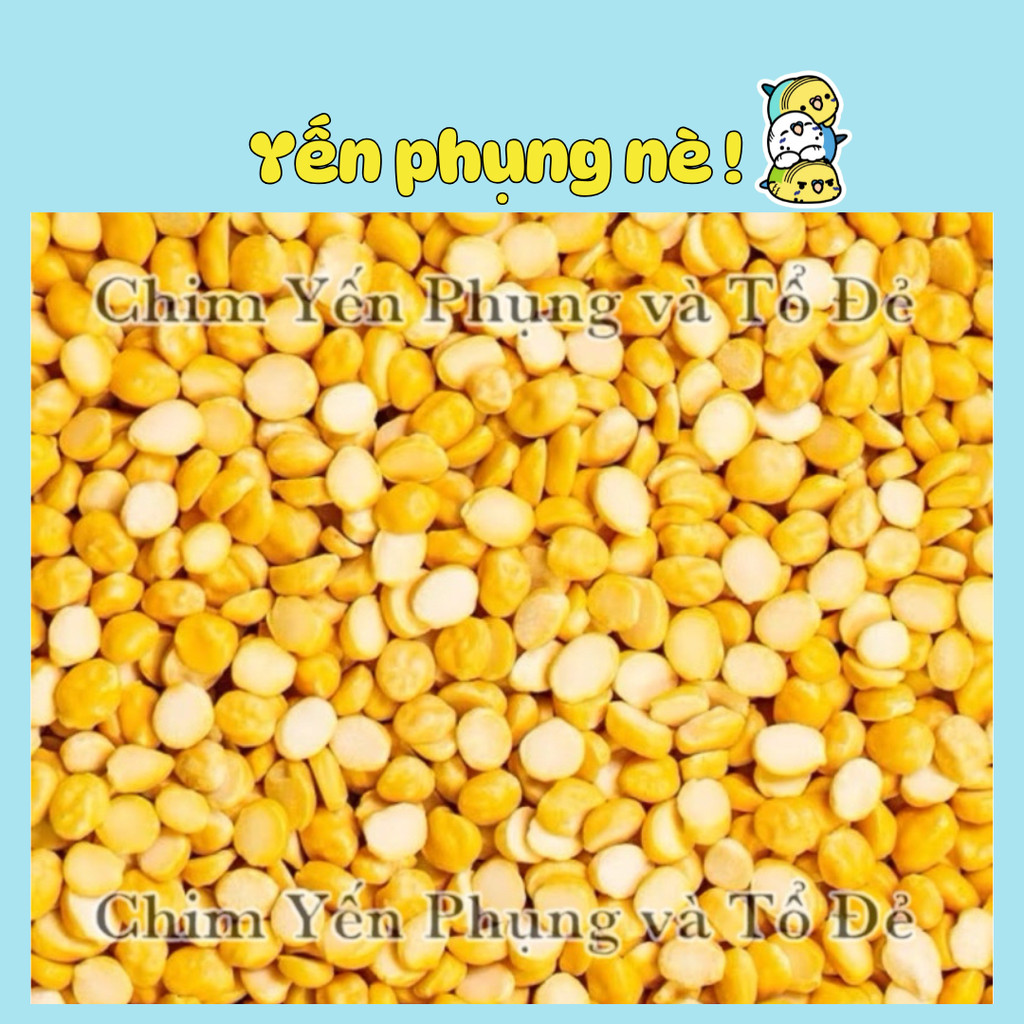 1kg đậu lăng vàng (Yellow Lentils)