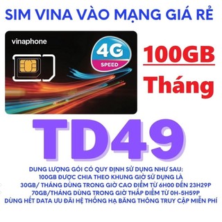 Sim vinaphone 4g td49 100g/tháng miễn phí 12t không cần nạp thêm tiền - sim sử dụng toàn quốc bảo hành 1 năm
