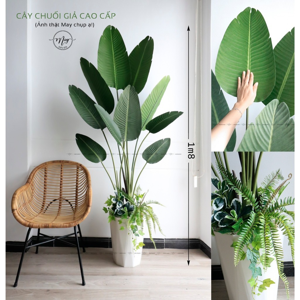 Cây giả,Cây Chuối cảnh cao cấp lá nhám cao cấp decor trang trí nhà cửa