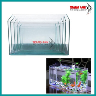 Bể cá cảnh kính đúc mini để bàn, bể kính nuôi cá đủ kích thước
