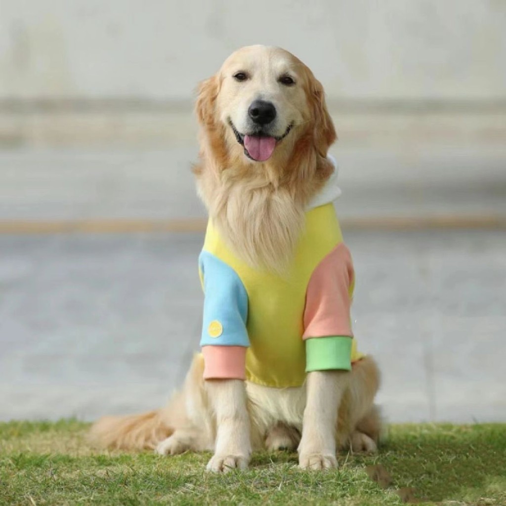 Quần áo cho chó Chó Lớn Quần áo cho chó Labrador Golden Retriever Shiba Inu Vừa Chó Lớn Mùa Đông Thú Cưng Áo Quần áo mùa đông / / ling4.24