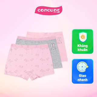 Bộ 3 quần lót bé gái đùi animo vđ223007