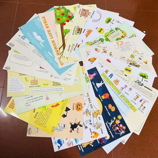 Thẻ tranh mindmap thuyết trình 46 chủ đề- khổ a3