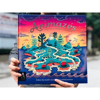 Sách : Animazes Illustrated By Melissa Castrilion