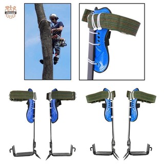 Chiwanji Bộ dụng cụ leo cây có thể điều chỉnh cho bánh răng leo núi trên đá