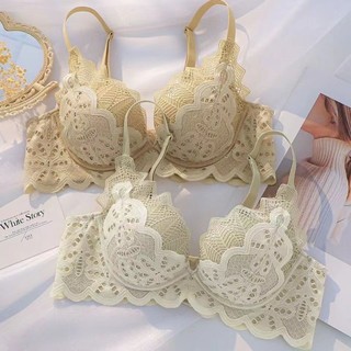 Quần lót có thể điều chỉnh áo ngực dày đẩy lên không có vành dây Bộ áo ngực ren đặc biệt