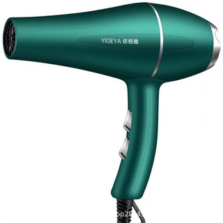 JIASHI Máy sấy tóc gia dụng máy sấy tóc công suất cao Máy sấy tóc điện