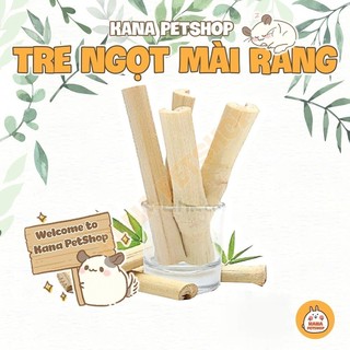 Tre Ngọt Trúc Ngọt Mài Răng 🐹FREESHIP🐹 Cành Trúc Ngọt Mài Răng Cho Thỏ, Bọ, Sóc Bắc Mỹ,Sóc Bay ,Chinchilla ,Hamster