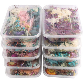  Hộp Hoa Khô Mix Tổng Hợp Nguyên Liệu Trang Trí  Handmade Resin Nến Thơm 