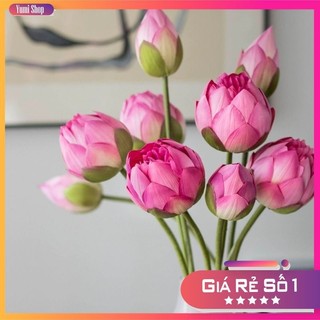  Hoa Sen giả decor - BÔNG SEN QUAN ÂM   Giống thật 99%  - Hoa giả  Hoa lụa cao cấp  trang trí sự kiện  nhà hàng cửa 