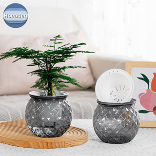 Hoeaden Mini Tự Tưới Hoa Nồi Cá Nhựa Trong Suốt Chậu Cây Tự Tưới Cây Chậu Bình Để Trang Trí Nhà VN