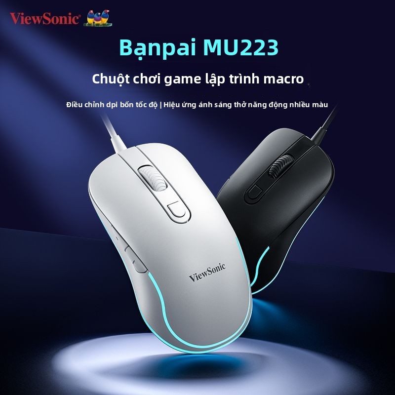 Chuột Ergonomic Wired Business Office Gaming Universal cho Laptop Máy Tính Để Bàn USB Chuyên Dụng