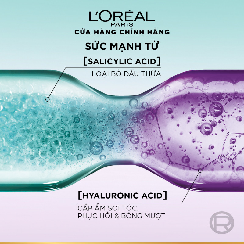 Dầu xả nhẹ bồng mái tóc 72H Elseve HA Pure cho da đầu dầu hoặc Moist cho da đầu khô 375ML | BigBuy360 - bigbuy360.vn