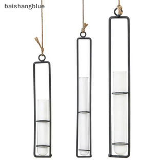 Baishangblue Treo Tường Bình Hoa Sắt Thủy Tinh Trong Suốt Cho Hộp Đựng Thực Vật BHB