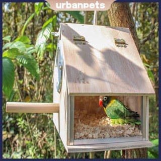 Hộp Làm Tổ Chim Bằng Gỗ Hộp Nuôi Chim Trong Suốt Nhà Cho Vẹt Vẹt Đuôi Dài Tổ Chim Phụ Kiện Lồng Chim