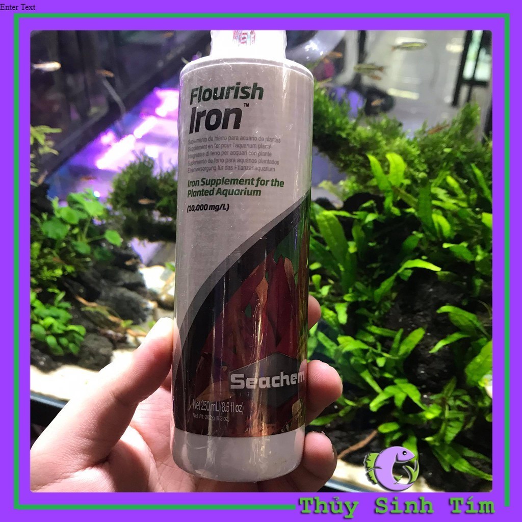 Seachem Flourish Iron 250ml (PHÂN NƯỚC BỔ SUNG SẮT)