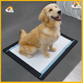 [Calager] Giá đỡ tã cho chó con Pee Pad Giá đỡ cho chó Giá đỡ miếng đệm huấn luyện thú cưng có hút từ tính Khay bô cho chó chống nước để huấn luyện nhà vệ sinh dễ dàng Lý tưởng cho Đông Nam