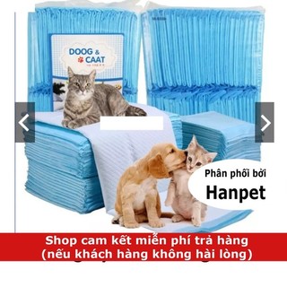 HCM-10 miếng tã lót khay vệ sinh size to 45x60cm XANH, tã giấy lót chuồng chó, lót sàn xe