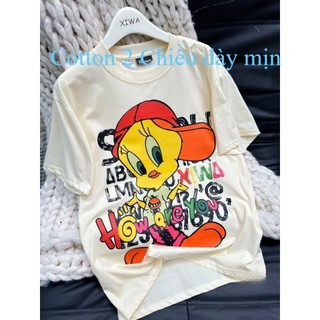 Áo thun nữ Mềm Mịn Mát, Áo phông nữ form rộng giấu quần Chất Cotton co giãn 4 chiều mềm mịn mát mieAP37