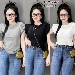 Áo Thun Nữ Tay Hến Cổ Tròn Dáng Ôm Phối Bèo Form Baby Tee Có Bigsize Xinh Đẹp Dễ Thương Chuppy Giá Rẻ Freesize 50-95kg