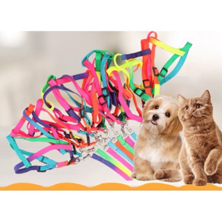  Combo Dây Dắt 1m2+ Yếm cho Chó Mèo Dây dắt cho thú cưng 1m2 + Kèm Yếm Ngực 
