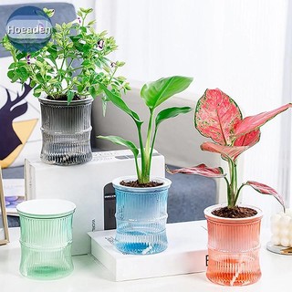 Hoeaden Tự Tưới Hoa Chậu Cây mọng Nước Trong Suốt Chậu Trồng Mini Chậu Để Bàn Chậu Hoa Trang Trí Nhà VN