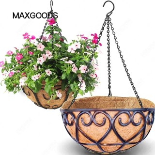 Chậu hoa MAXGOODS, Giỏ treo dây chuyền cây xanh thịt sáng tạo châu Âu, Giỏ đựng chậu hoa bằng sắt tròn màu nâu dừa hợp thời trang Chlorophytum Comosum