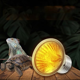  25   50   75W UVA + UVB 3.0 Bóng đèn bò sát Rùa Basking Bóng đèn UV Heag Đèn Bộ điều khiển nhiệt độ OTU 
