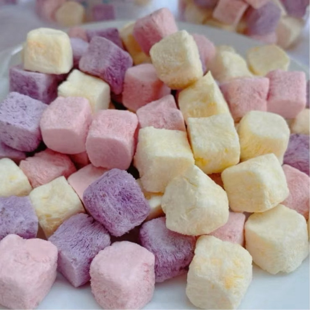 500gr Viên Sữa Chua Trái Cây Sấy Giòn Thăng Hoa Mix Vị